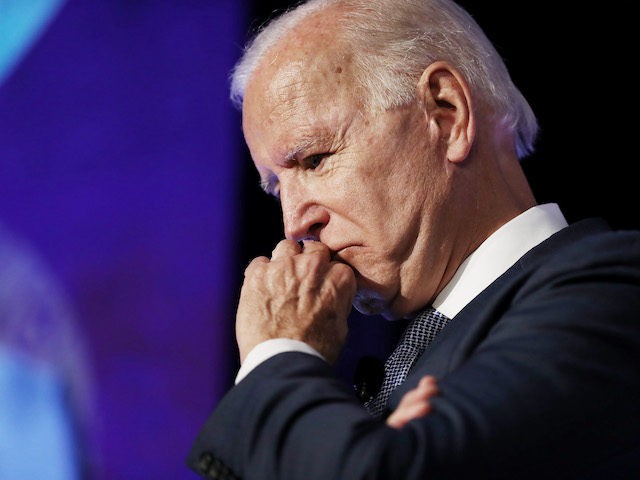 Democratic U.S. presidential candidate and former Vice President Joe Biden pauses while sp