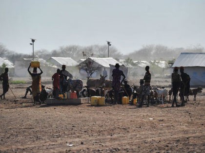 Men and women from the local Turkana community fetch water their animals at a bore hole at