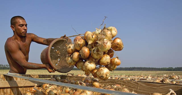 10 House Republicans Declare Support for Amnesty, Visa Worker Bill