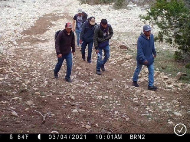 A rancher's game-cam captures a group of migrants marching through his ranch to avoid a Bo