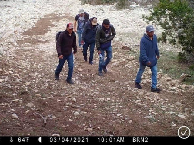 A rancher's game-cam captures a group of migrants marching through his ranch to avoid a Border Patrol checkpoint. (Photos: Kinney County Sheriff's Office)