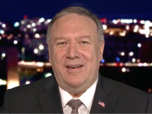 Mike Pompeo Likes a Good Fight