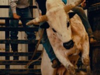 First Look: Former Pro Wrestler Dan Rodimer Launches Congressional Bid, Rides Bull Named ‘Nancy Pelosi’ in High-Energy Ad