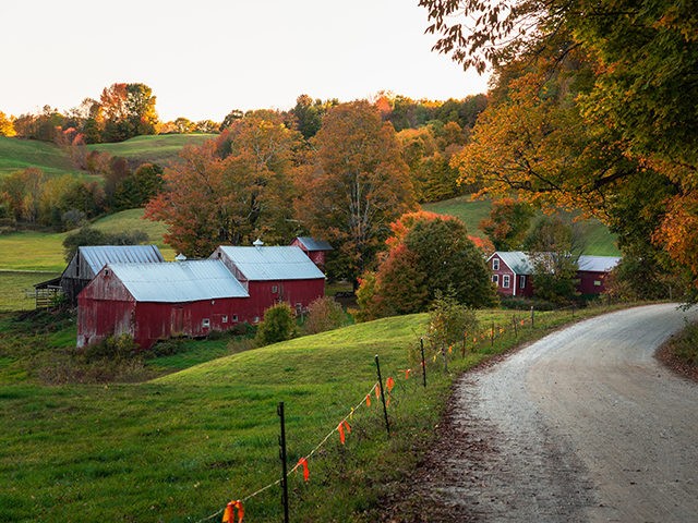 Gravel road to a traditional American farm with a red wooden barn in a rolling rural landscape in autumn. Beautiful fall foliage. Woodstock, VT, USA.
