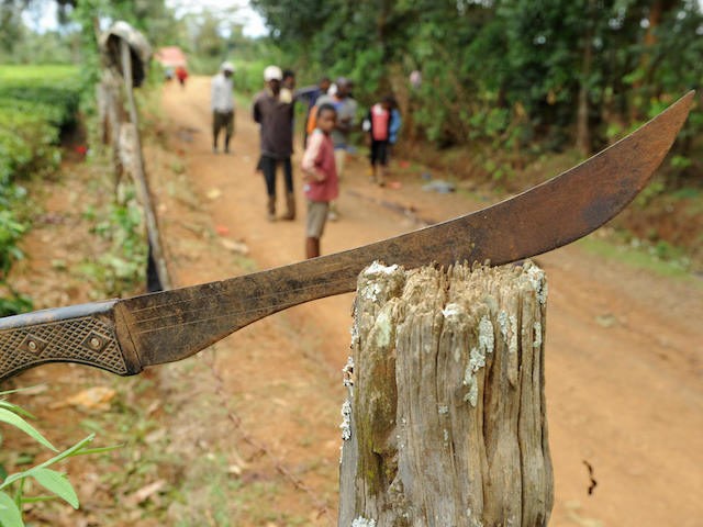 In this file photo, a machete is stuck on a wood stump near Kiangomara village, on April 2