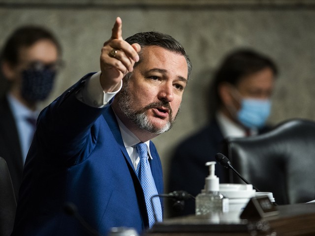 U.S. Sen. Ted Cruz (R-TX) questions former Deputy Attorney General Rod Rosenstein at hearing of the Senate Judiciary Committee on Capitol Hill on June 03, 2020 in Washington, DC. (Jim Lo Scalzo-Pool/Getty Images)