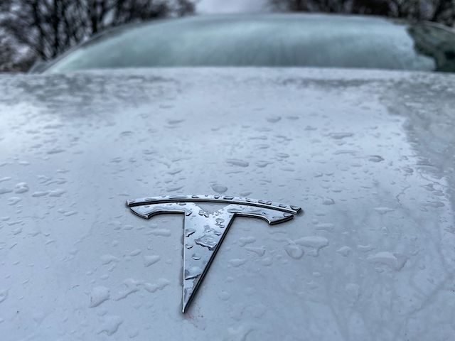 Raindrops are seen next to the Tesla logo on the bonnet of a Tesla electric car in Berlin'