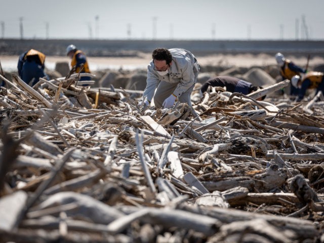 A man searches for the remains of people who went missing after the 2011 earthquake and tsunami on March 11, 2021 in Iwaki, Japan. Japan will today observe the 10th anniversary of the 2011 Tohoku earthquake, tsunami and triple nuclear meltdown in which almost 16,000 were killed and hundreds of …
