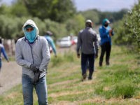 30 GOP Reps. Vote for Farmworker Amnesty, Replacement Foreign Workforce