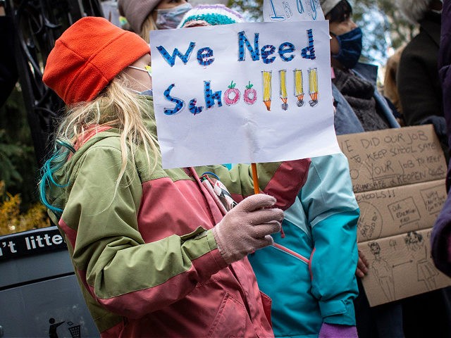Children take part in a protest demanding that public schools remain open, outside New York's City Hall on November 19, 2020. - US coronavirus deaths passed a quarter of a million people on November 18 as New York announced it would close schools to battle a rise in infections. (Photo …