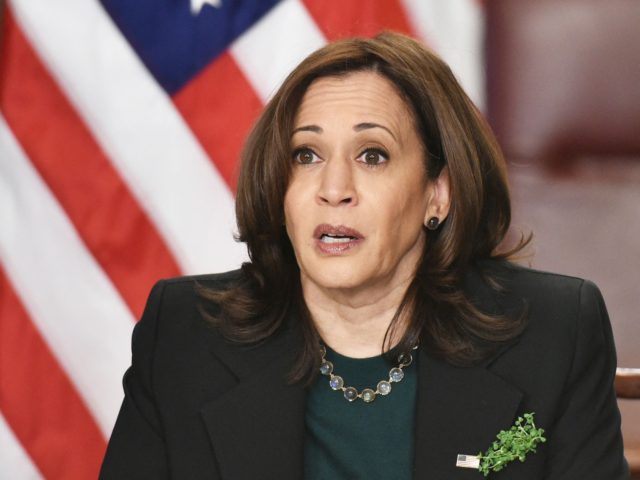 US Vice President Kamala Harris speaks on the Atlanta area shootings before a virtual bilateral meeting with Ireland's Prime Minister Micheal Martin in the Vice President's Ceremonial Office in the Eisenhower Executive Office Building, next to the White House in Washington, DC on March 17, 2021. (Photo by MANDEL NGAN …