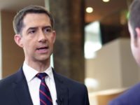 Cotton: We Should Provide Same Support to Taiwan as We Are to Ukraine
