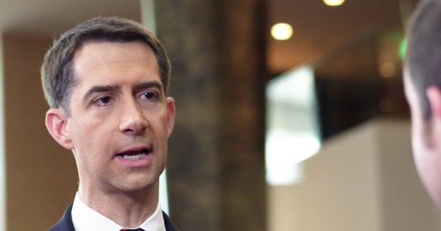 tomcottoncpachollywoodchina1-640x335.jpg