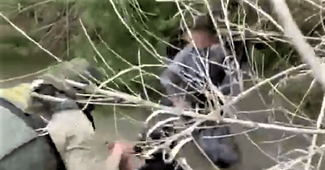WATCH: Border Patrol Marine Agents Rescue Two Small Children on Banks ...