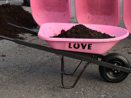 Activists use shovels and wheelbarrows to pile manure on the street outside the White House while protesting against President Joe Biden's climate change policy on Earth Day, April 22, 2021 in Washington, DC. Organized by the Extinction Rebellion DC, protesters used bright pink wheelbarrows to dump heaps of cow manure …