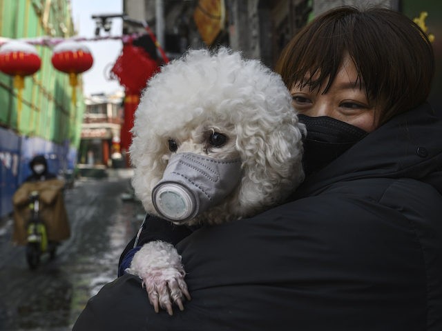 A Chinese woman holds her dog that is wearing a protective mask as well as they stand in t