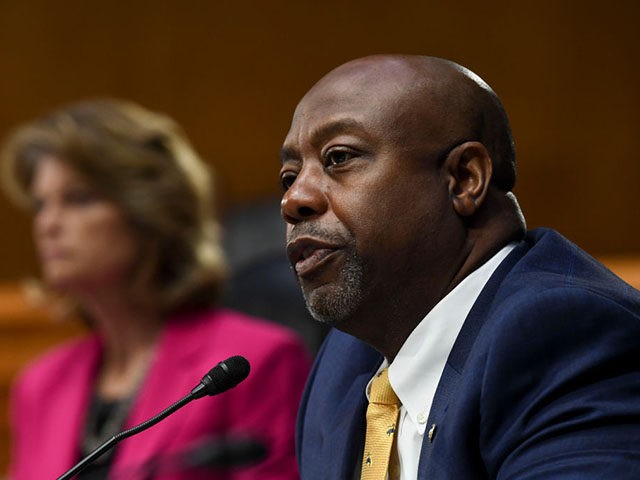 WASHINGTON, DC - MAY 12: U.S. Senator Tim Scott (R-SC) questions the witnesses, who were appearing remotely, during the Senate Committee for Health, Education, Labor, and Pensions hearing on COVID-19 May 12, 2020 in Washington, D.C. The committee will hear testimony from members of the White House Coronavirus Task Force …