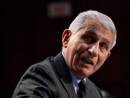 Director of the National Institute Of Allergy and Infectious Diseases, Anthony Fauci, test