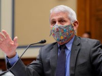 Anthony Fauci Suggests Locked Down States Are Doing Worse than Texas Because People Are Ignoring Lockdown Orders