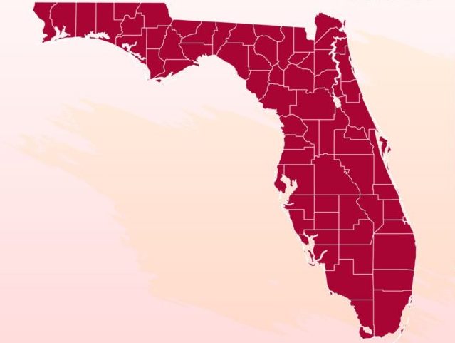 National map of Florida, Vector flag of Florida, Florida map, illustration flag size vecto