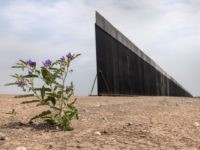 Photos: Border Wall Materials Neglected After Joe Biden Halts Construction