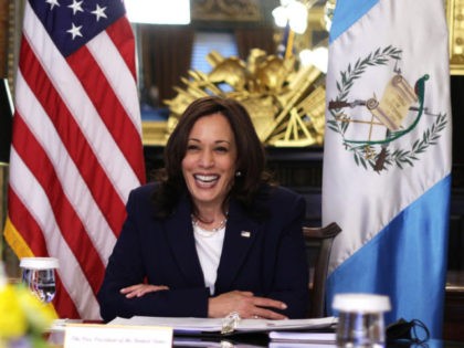 WASHINGTON, DC - APRIL 26: U.S. Vice President Kamala Harris participates in a virtual bil