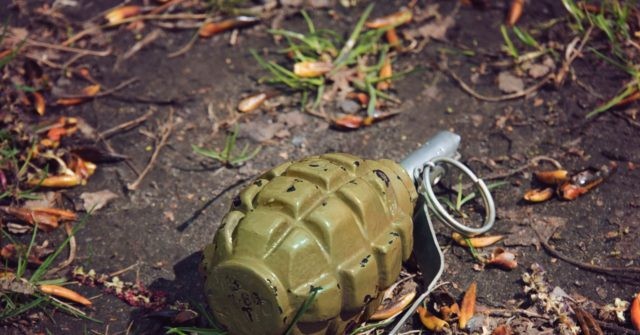 Grenade Discovered In German Forrest Is A Sex Toy Say Police 