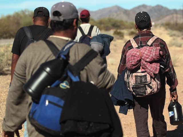 Undocumented Mexican immigrants walk through the Sonoran Desert after illegally crossing t
