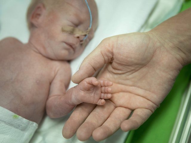 A Nov. 16, 2017 photo shows a mother holding the hand of her prematurely born daughter kept in an incubator in the intensive care unit of the Obstetrics and Gynecology Clinic of Semmelweis University in Budapest, Hungary. World Prematurity Day is observed on November 17 each year since 2011 to …