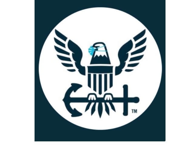 U.S. Navy Bald Eagle Wearing Mask
