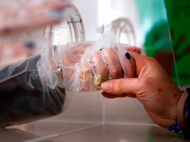 An elderly resident of the Villa Sacra Famiglia nursing home (RSA) in Rome holds the hand of her daughter through a plastic screen in a so-called "Hug Room", on March 03, 2021 amid the new coronavirus Covid-19 pandemic. - The Hug Room allows guests and their families to embrace each …