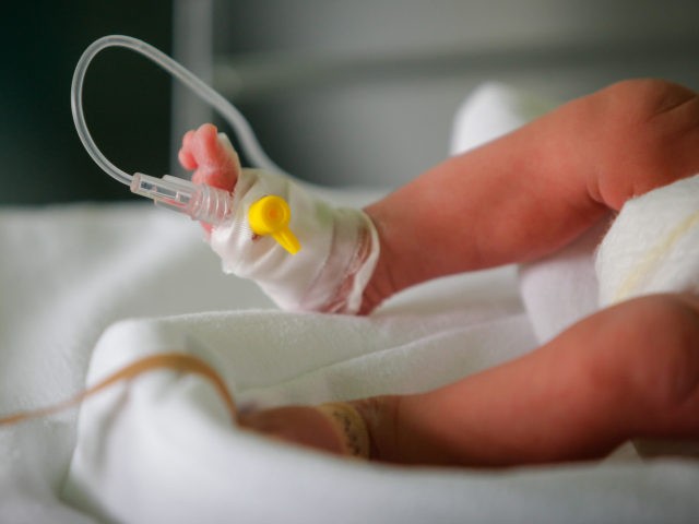 Pretem baby - stock photo Premature little baby in an incubator at the neonatal section of the maternity