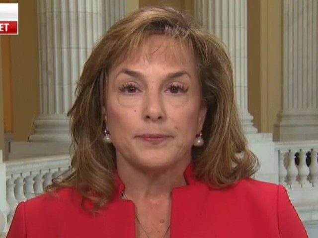 House GOP Conference Chair: Want Those Getting Healthcare Subsidies to Have Choices