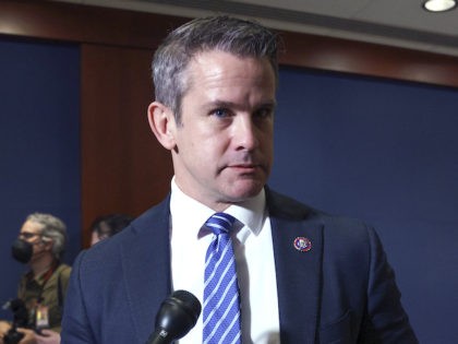 Rep. Adam Kinzinger, R-Ill., speaks to reporters about his support for Rep. Liz Cheney, R-