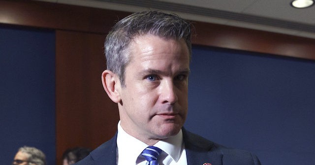 Adam Kinzinger: Donald Trump's 'Brain Is Broken'