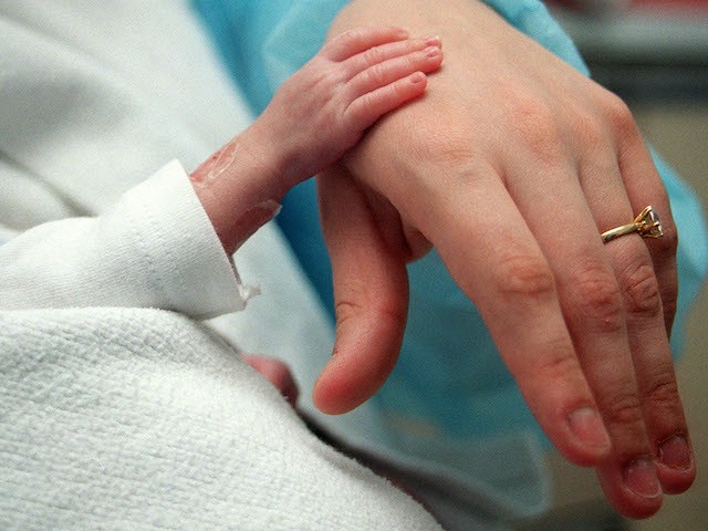 A premature baby poses on February 20, 2003, his hand on his mother's in the neonatology department of Robert Debré hospital in Paris. - Very premature infants are referred to this specialized intensive care unit because resuscitation is particularly cumbersome and sometimes accompanied by complications. A premature baby is a child born before the 37th week (8 months or 259 days) and whose all major functions are immature (respiratory, immune, digestive). Approximately 44,000 children are born prematurely each year in France. Prematurity thus reaches 5.9% of births in France. AFP PHOTO DIDIER PALLAGES (Photo by Didier PALLAGES / AFP) (Photo credit should read DIDIER PALLAGES/AFP via Getty Images)