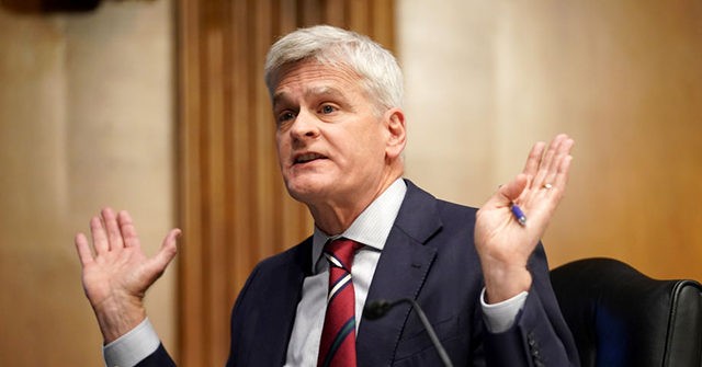 Bill Cassidy: Americans 'Lost Patience' with CDC Coronavirus Guidelines