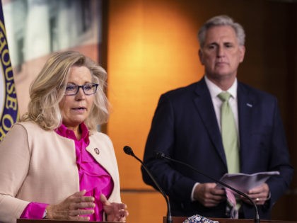 Rep. Liz Cheney (R-WY) speaks during a news conference with House Minority Leader Kevin McCarthy (R-CA) and other Republican members of the House of Representatives at the US Capitol on July 21, 2020 in Washington, DC. (Samuel Corum/Getty Images)