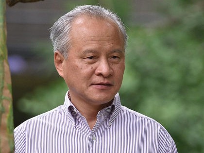 An August 23, 2014 photo shows China's Ambassador to the US, Cui Tiankai, attending a birthday ceremony for Bao Bao the baby Panda at the National Zoo on August 23, 2014 in Washington, DC. AFP PHOTO/Mandel NGAN (Photo credit should read MANDEL NGAN/AFP via Getty Images)