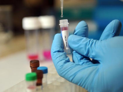Director of PrimerDesign Ltd Jim Wicks prepares a sample as the company works against the clock to produce the world's first DNA test for the Mexican strain f swine flu, officially known as influenza A, at the company laboratory in Southampton on May 2, 2009. Two cases of swine flu …