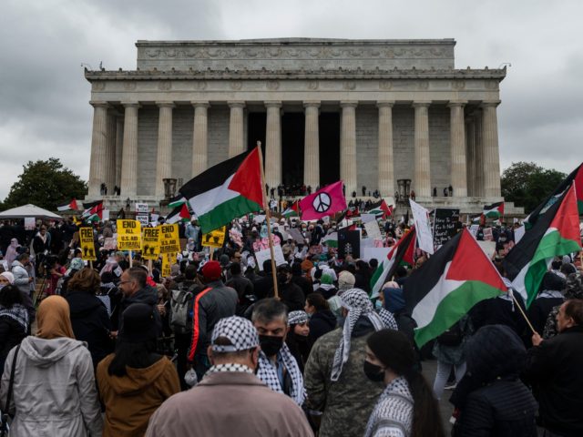 Supporters of Palestine wave flags as they hold a rally at the Lincoln Memorial in Washing