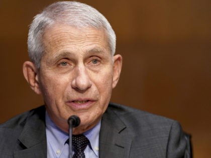 Dr. Anthony Fauci, director of the National Institute of Allergy and Infectious Diseases,