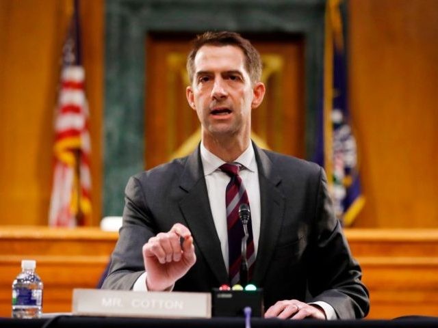 Sen. Tom Cotton, R-AR speaks during a Senate Intelligence Committee nomination hearing for