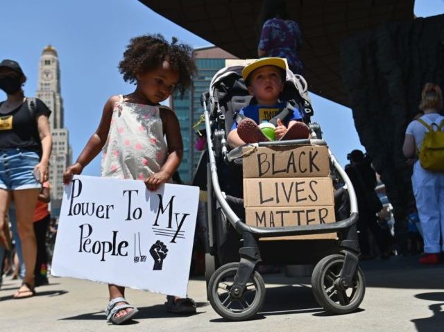 MN School Board Goes 'Anti-Racist': 'Black Lives Matter' Is 'Government Speech' - Vimarsana News