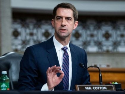 Sen. Tom Cotton, R-AR attends a Senate Judiciary Committee hearing on pending judicial nominations on Capitol Hill in Washington,DC on April 28, 2021. (Photo by Tom Williams / POOL / AFP) (Photo by TOM WILLIAMS/POOL/AFP via Getty Images)