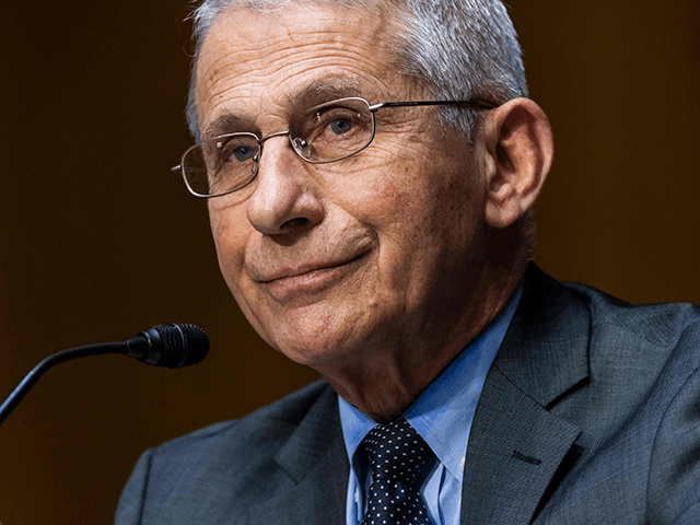 Dr. Anthony Fauci, director of the National Institute of Allergy and Infectious Diseases, speaks during a Senate Health, Education, Labor and Pensions Committee hearing to discuss the on-going federal response to Covid-19 on May 11, 2021 at the US Capitol in Washington, DC. (Photo by JIM LO SCALZO / POOL …