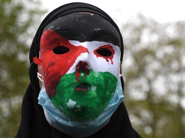 LONDON, ENGLAND - MAY 15: Protesters attend a rally to express solidarity with Palestine a