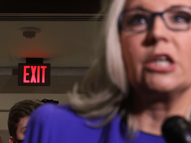 Rep. Liz Cheney (R-WY) talks to reporters after House Republicans voted to remove her as conference chair in the U.S. Capitol Visitors Center on May 12, 2021 in Washington, DC. GOP members removed Cheney from her leadership position after she became a target for former President Donald Trump and his …
