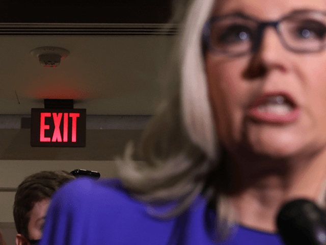 Associated Press: 'Liz Cheney of Wyoming Is Bracing for Defeat' - Vimarsana News