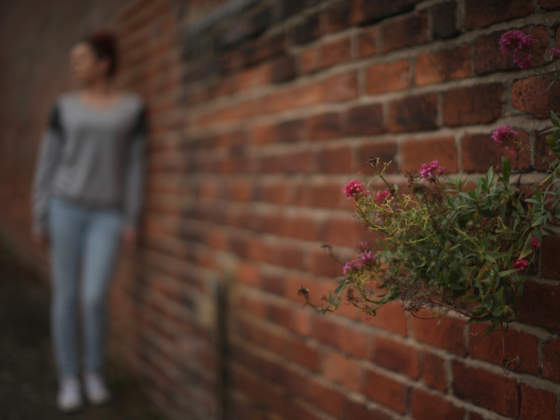 Grooming Gang Victim Says Police Did Nothing as Pakistanis Abused Her - Vimarsana News